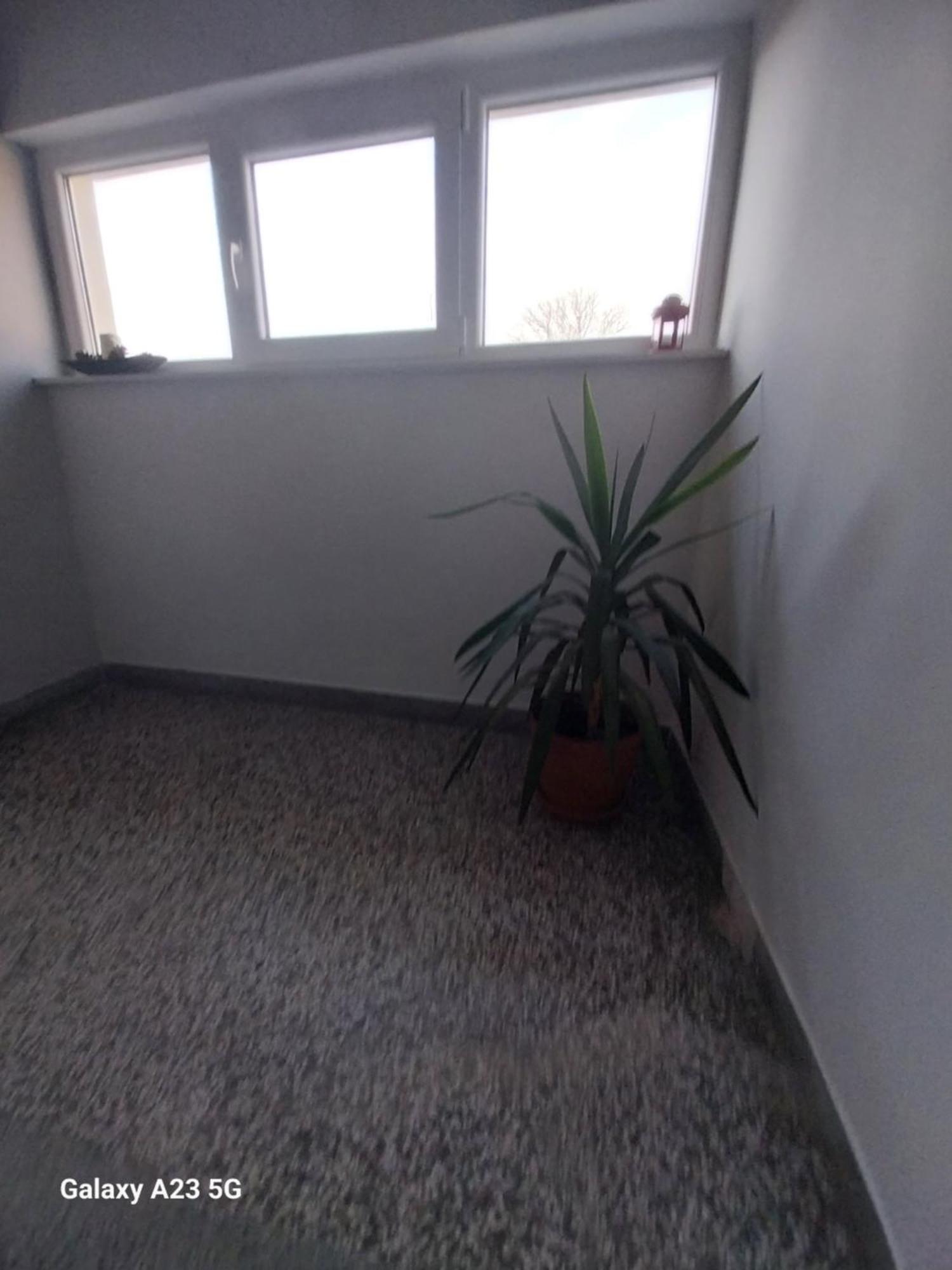 Apartman Bloom Osijek Exteriör bild